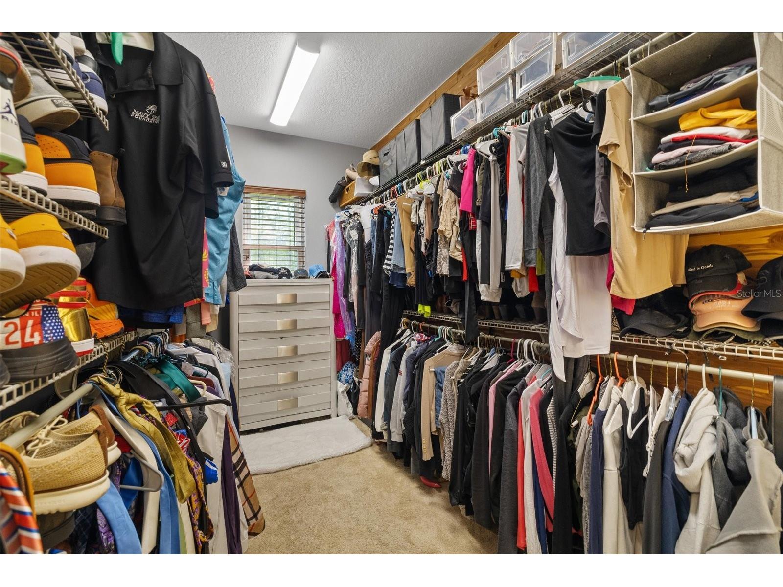 27625 Lincoln Place Wesley Chapel FL 33544 TB8495655 image53