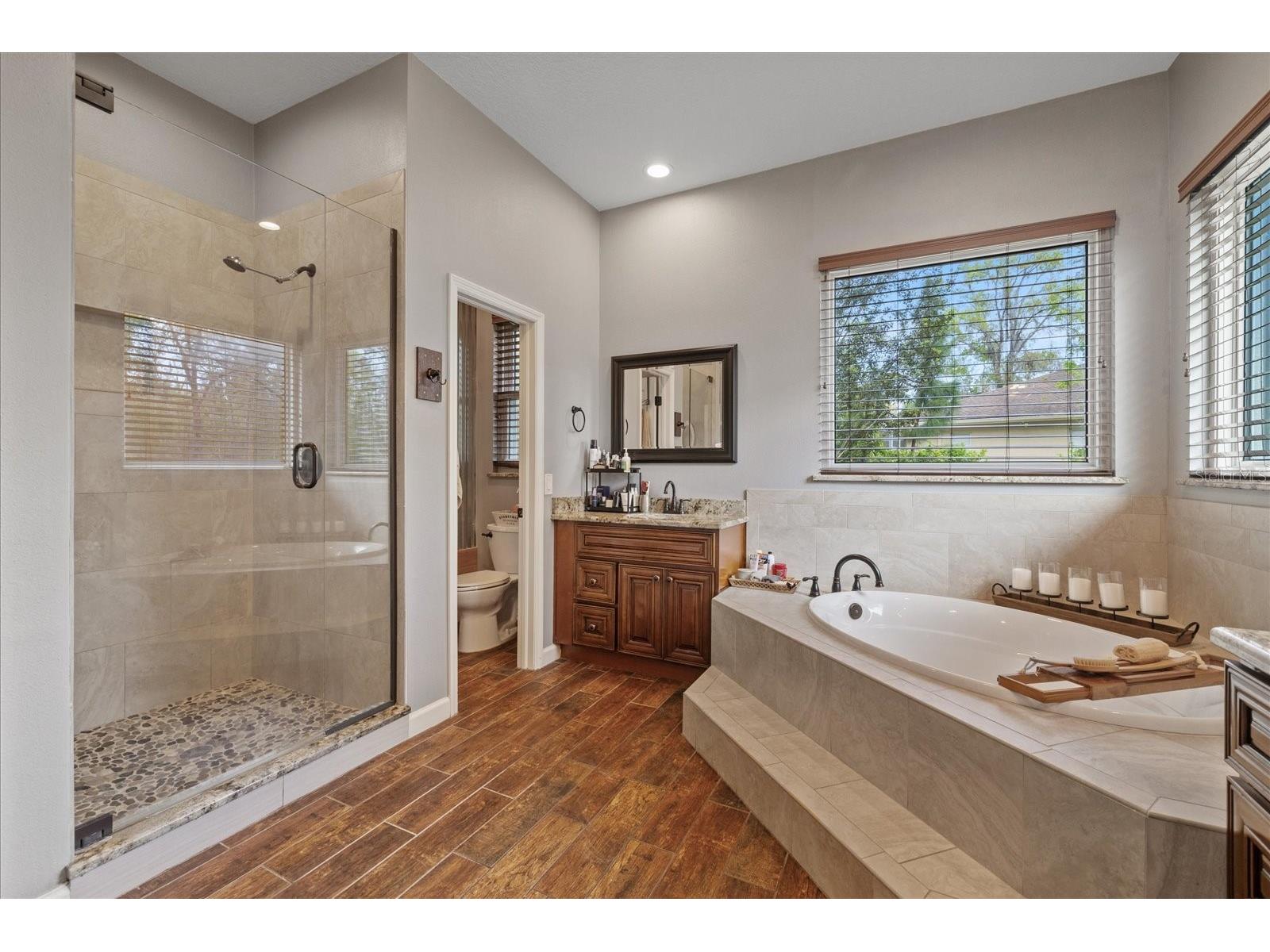 27625 Lincoln Place Wesley Chapel FL 33544 TB8495655 image55