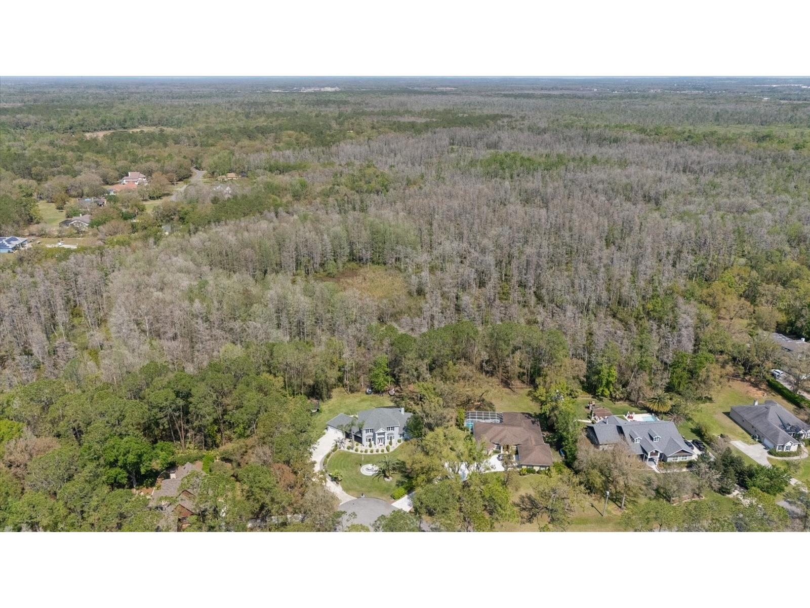 27625 Lincoln Place Wesley Chapel FL 33544 TB8495655 image87