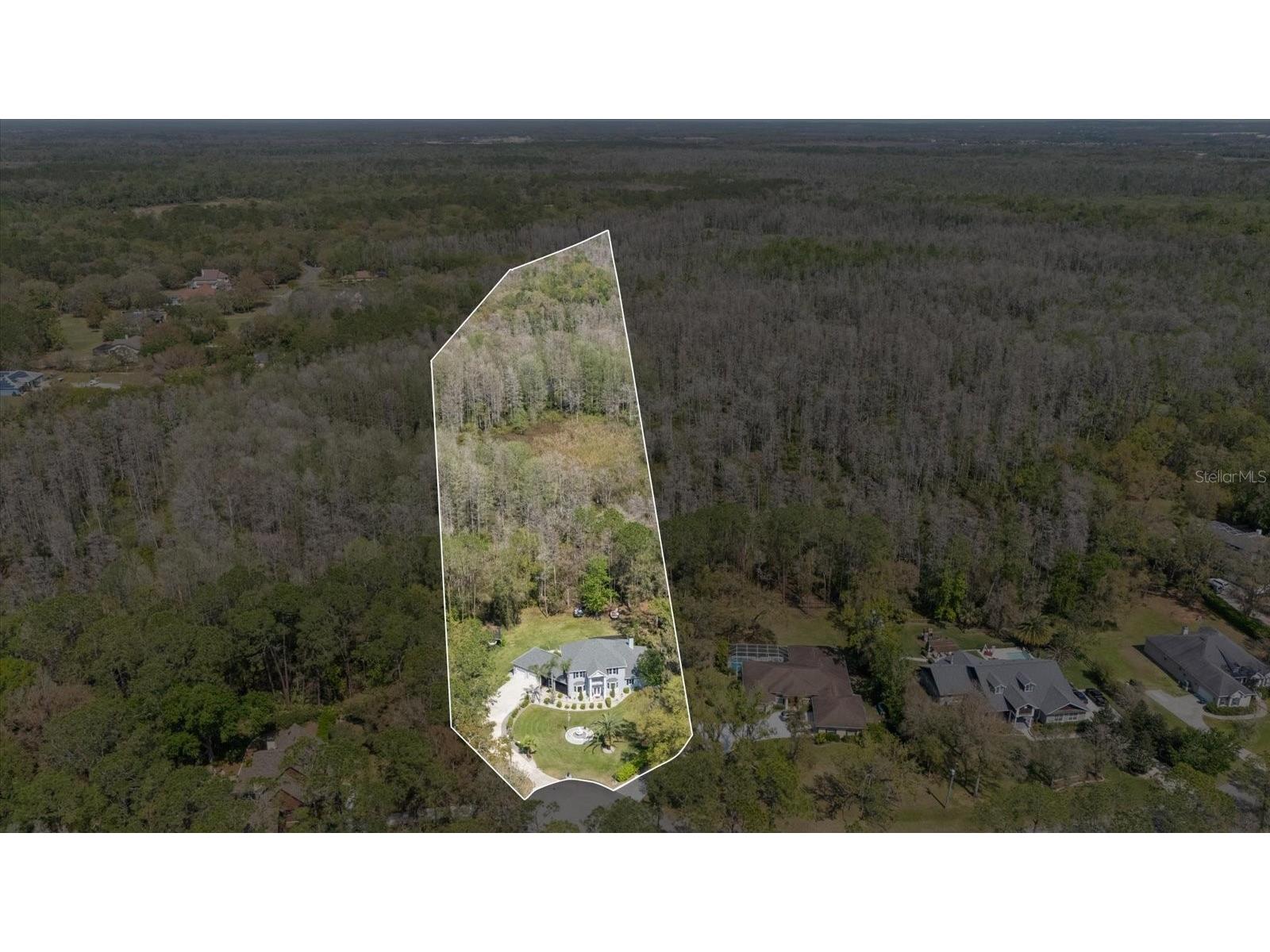 27625 Lincoln Place Wesley Chapel FL 33544 TB8495655 image88