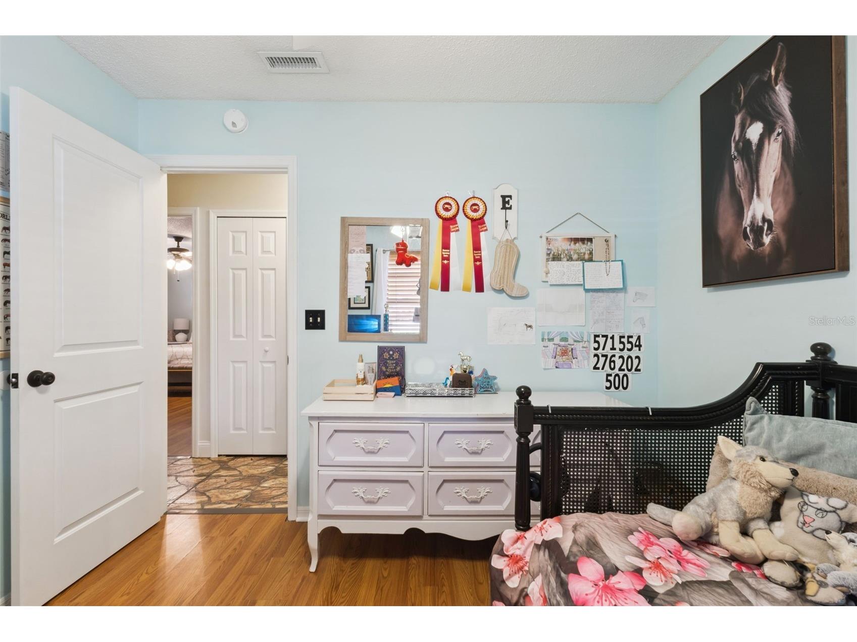 27627 Lois Drive Tavares FL 32778 - CANAL TO HARRIS CHAIN OF LAKES R4911122 image23