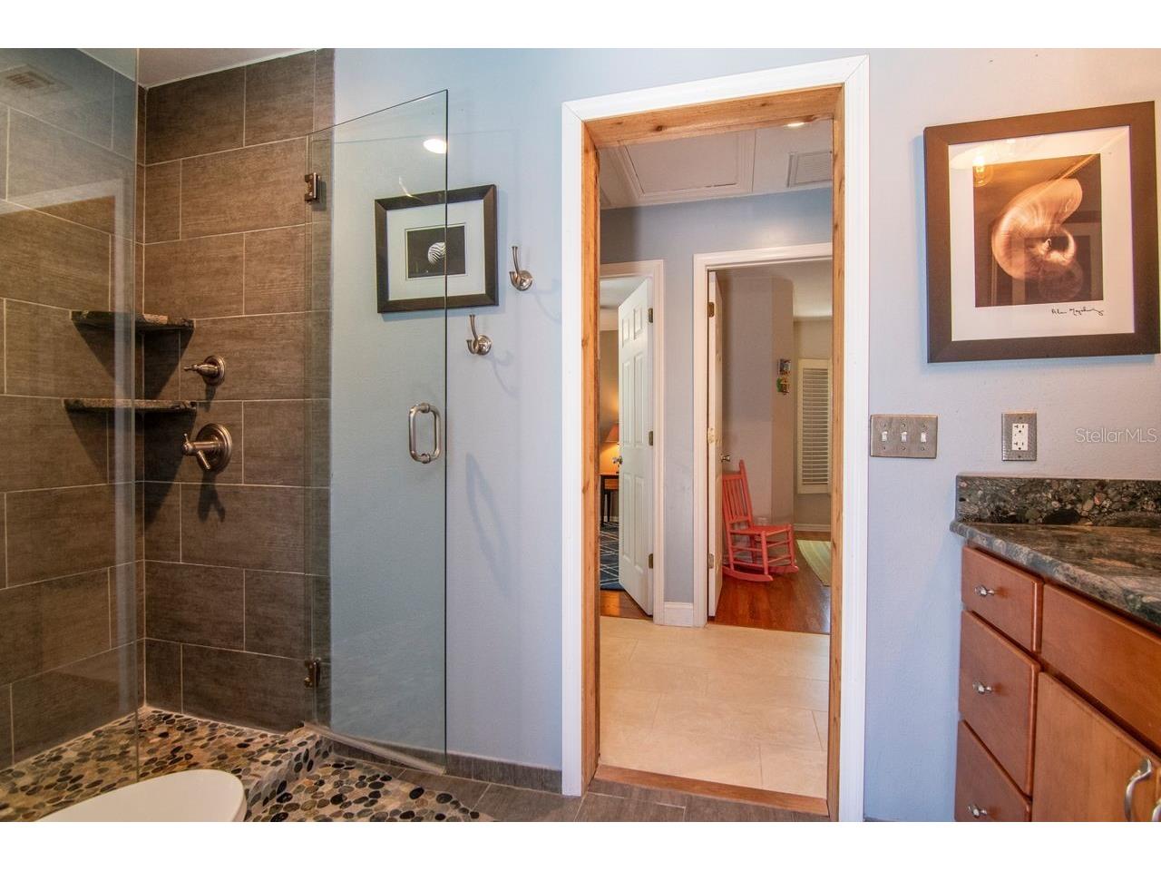 2763 Buckhorn Oaks Drive Valrico FL 33594 TB8502771 image37