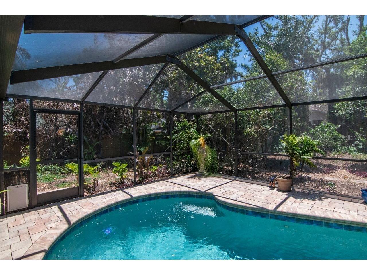 2763 Buckhorn Oaks Drive Valrico FL 33594 TB8502771 image42