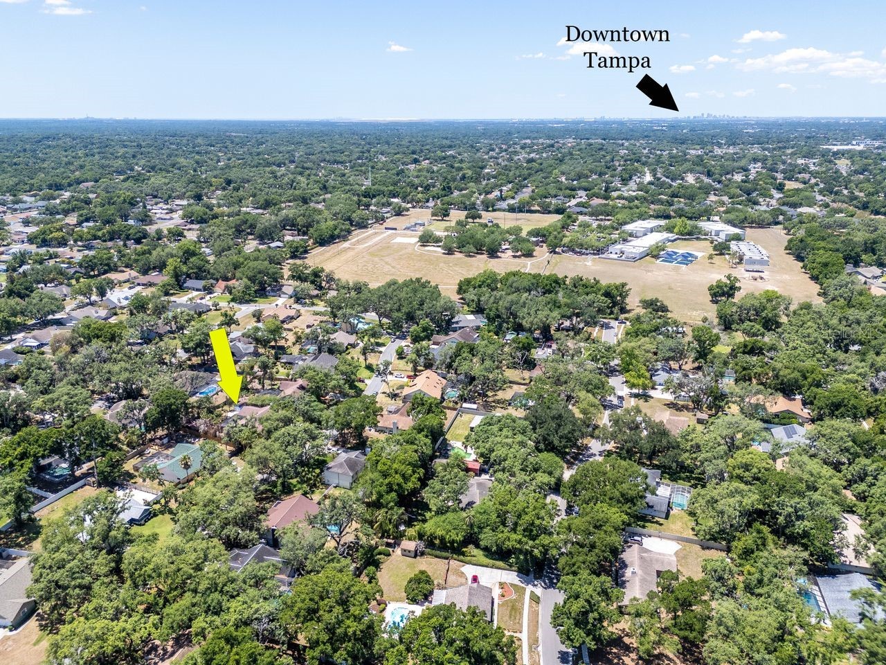2763 Buckhorn Oaks Drive Valrico FL 33594 TB8502771 image68