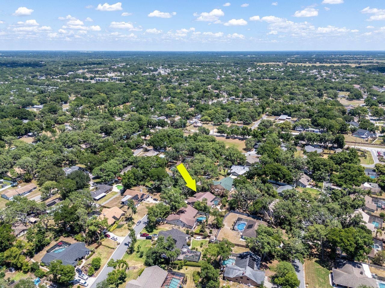 2763 Buckhorn Oaks Drive Valrico FL 33594 TB8502771 image74
