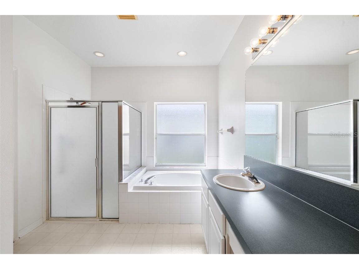 2763 Valencia Grove Drive Valrico FL 33596 L4956383 image23