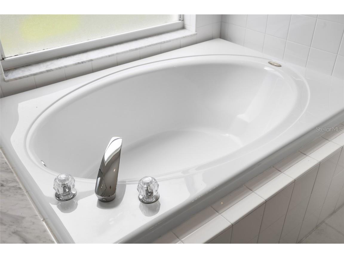 2763 Valencia Grove Drive Valrico FL 33596 L4956383 image24