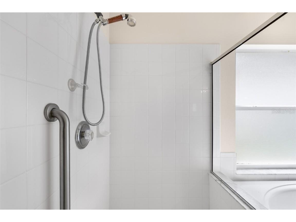 2763 Valencia Grove Drive Valrico FL 33596 L4956383 image25