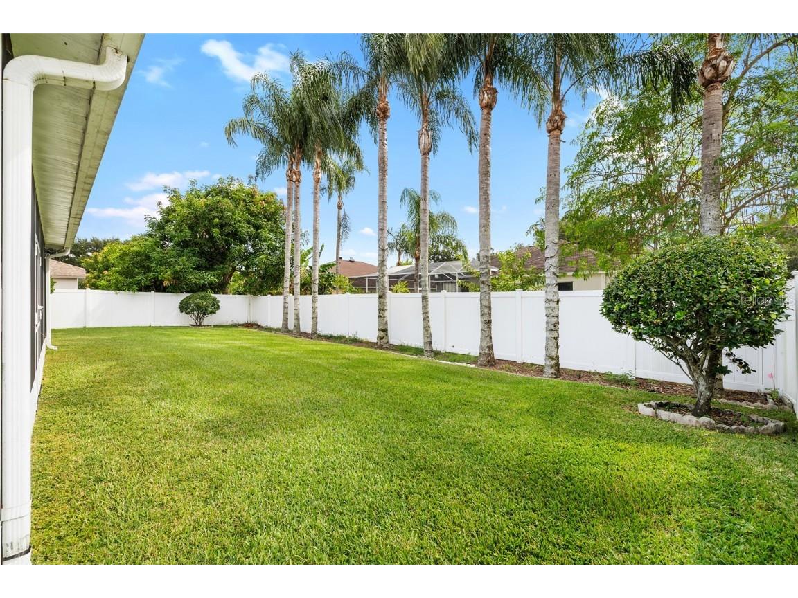 2763 Valencia Grove Drive Valrico FL 33596 L4956383 image38