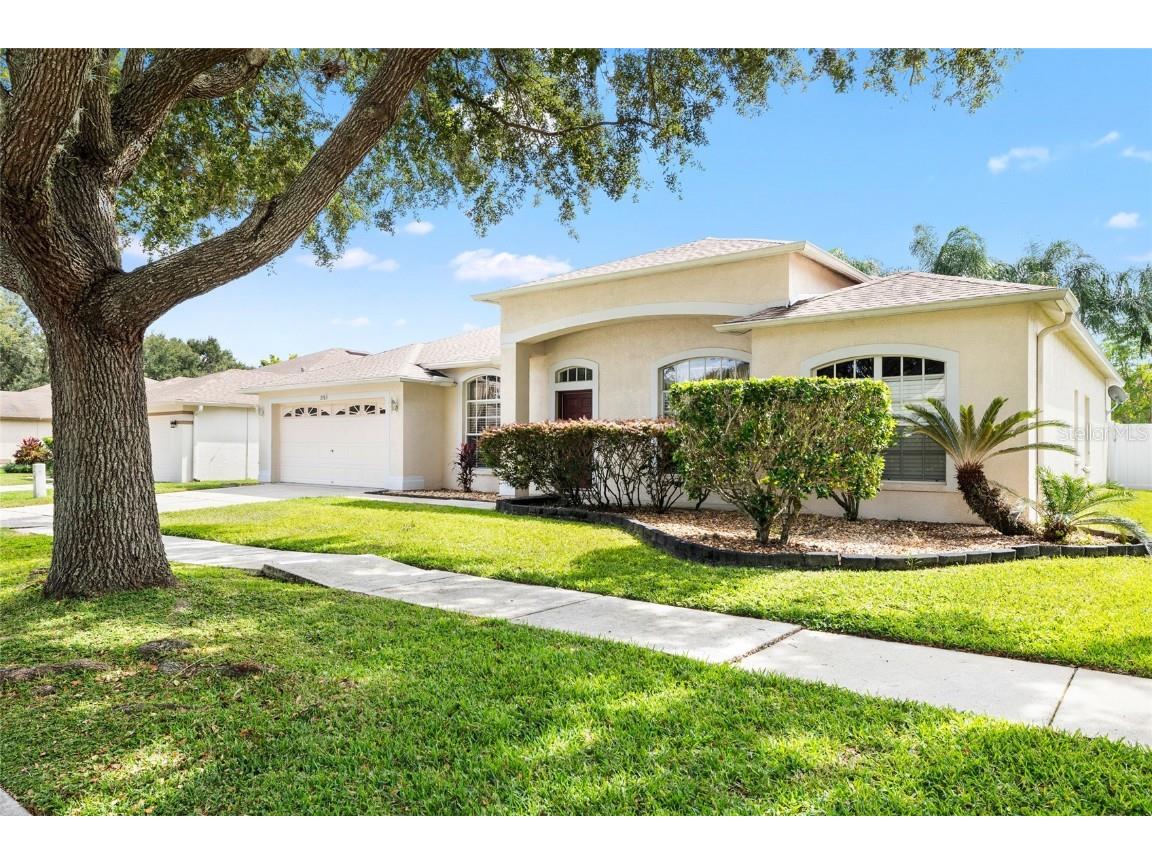 2763 Valencia Grove Drive Valrico FL 33596 L4956383 image4