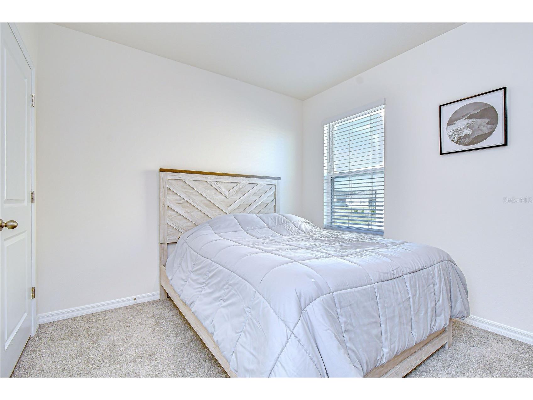 2763 Widewater Way Zephyrhills FL 33541 TB8516658 image11