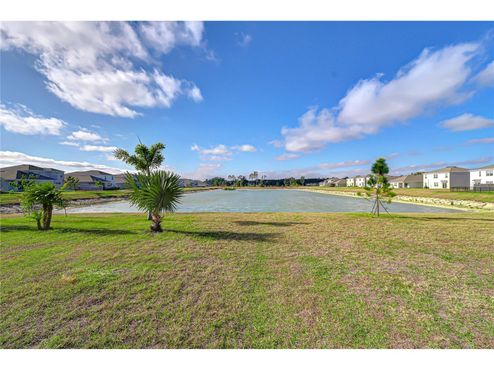 2763 Widewater Way Zephyrhills FL 33541 TB8516658 image43