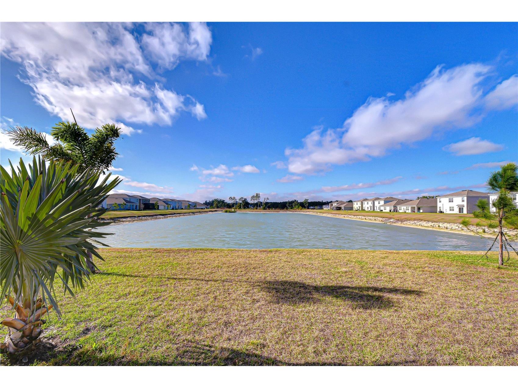 2763 Widewater Way Zephyrhills FL 33541 TB8516658 image44