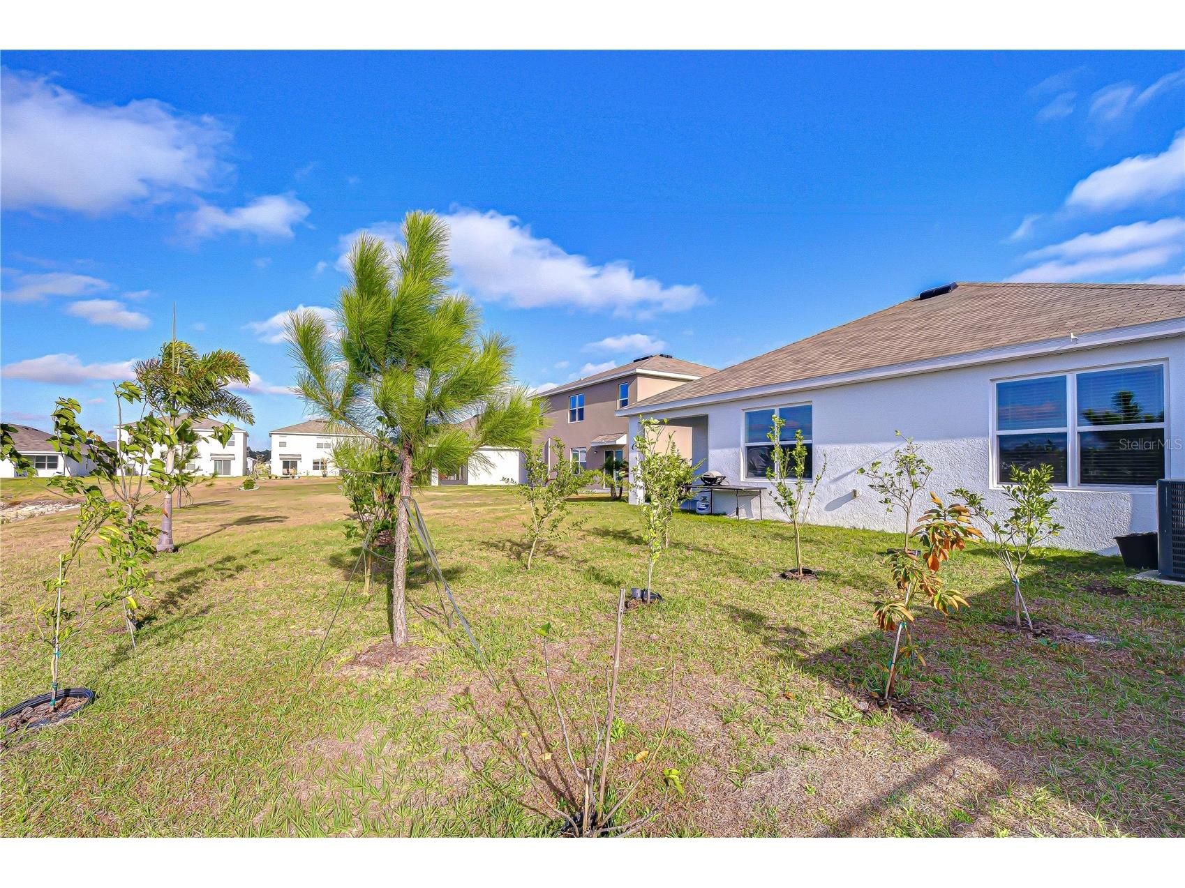 2763 Widewater Way Zephyrhills FL 33541 TB8516658 image50
