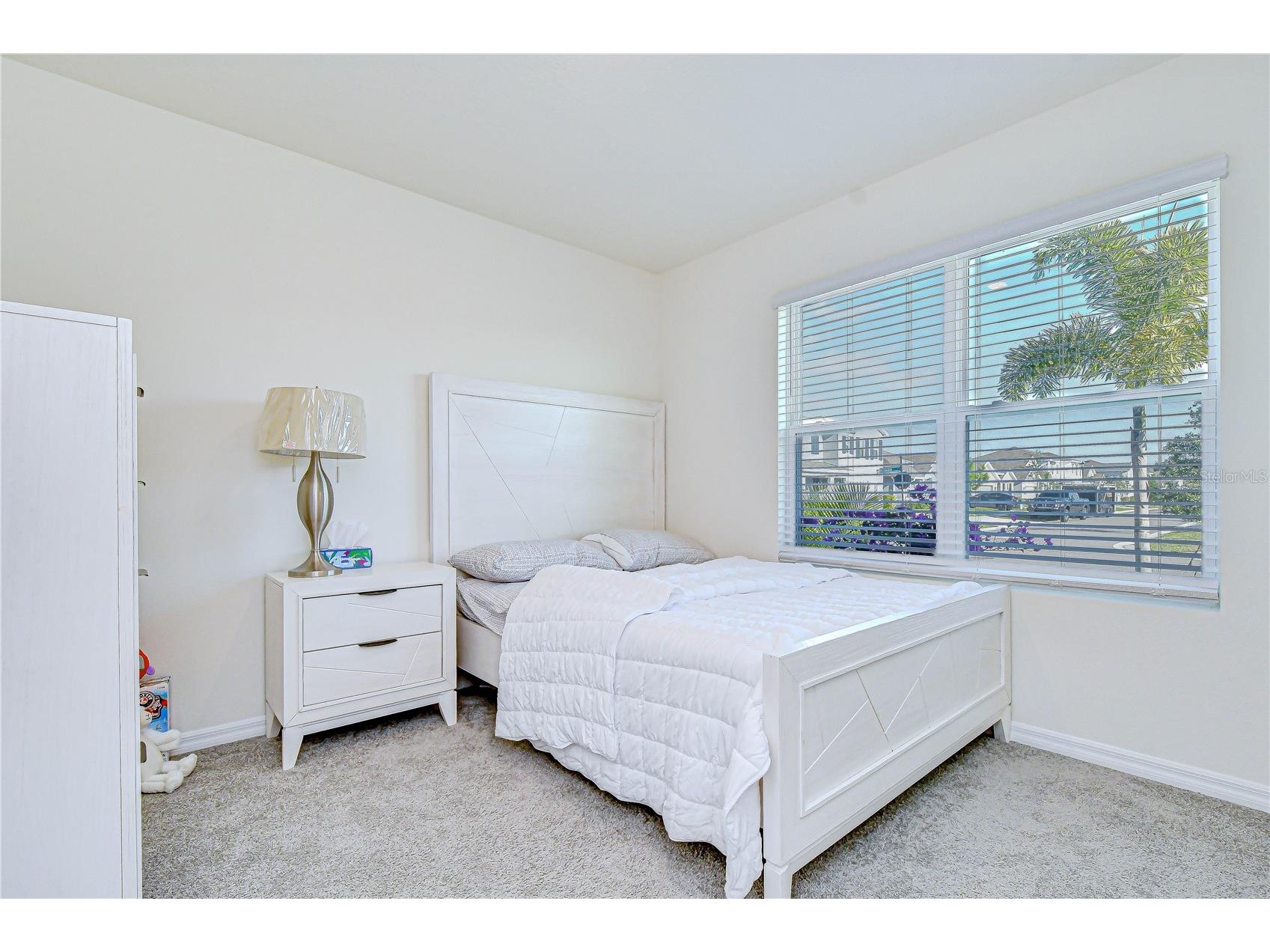 2763 Widewater Way Zephyrhills FL 33541 TB8516658 image8