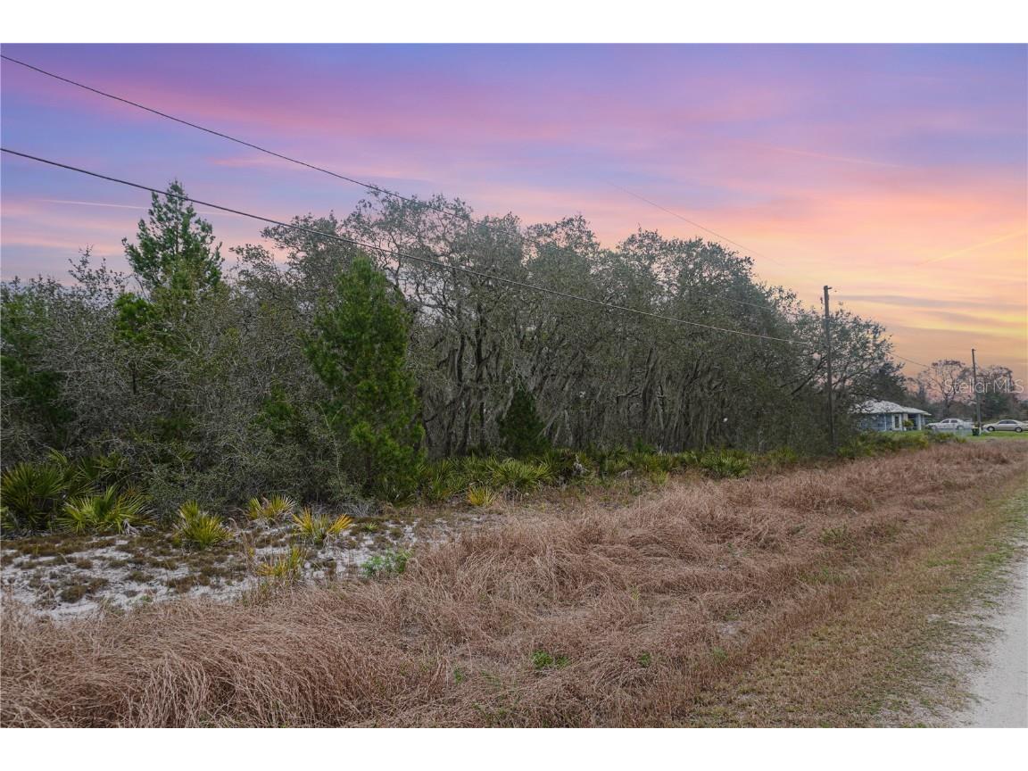 2764 W Avalon Road Avon Park FL 33825 P4931874 image1