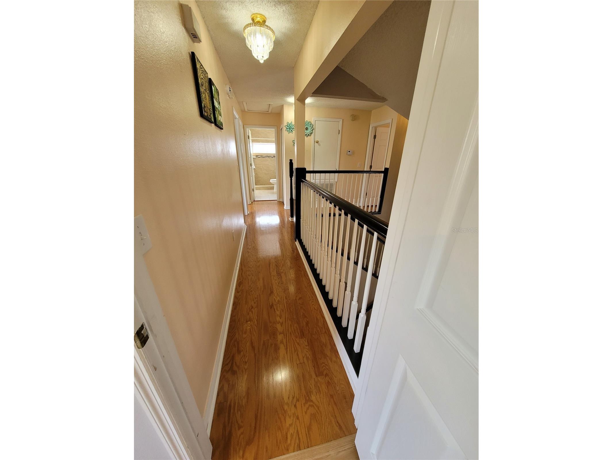 27640 Breakers Drive Wesley Chapel FL 33544 TB8485801 image11