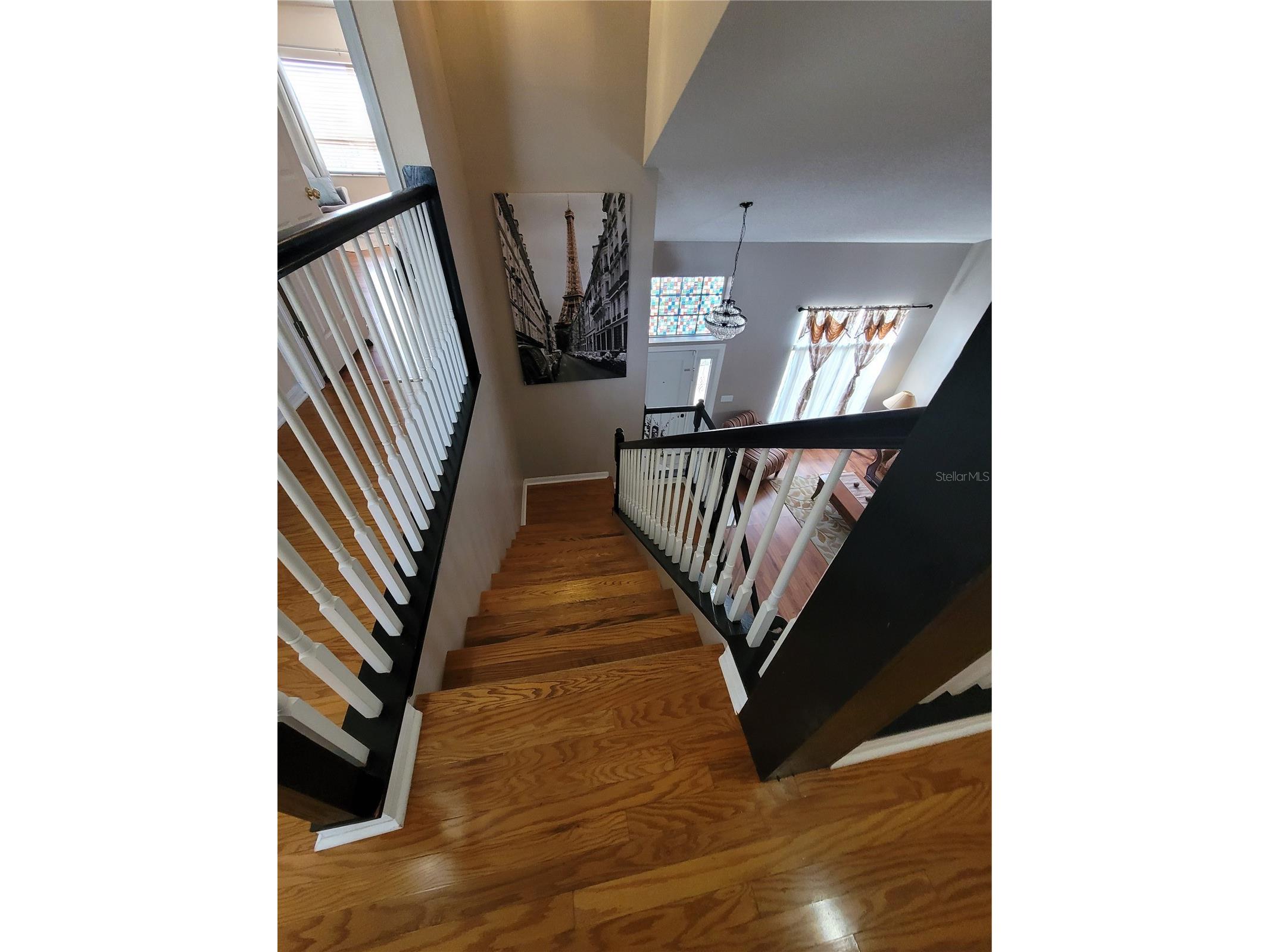 27640 Breakers Drive Wesley Chapel FL 33544 TB8485801 image13
