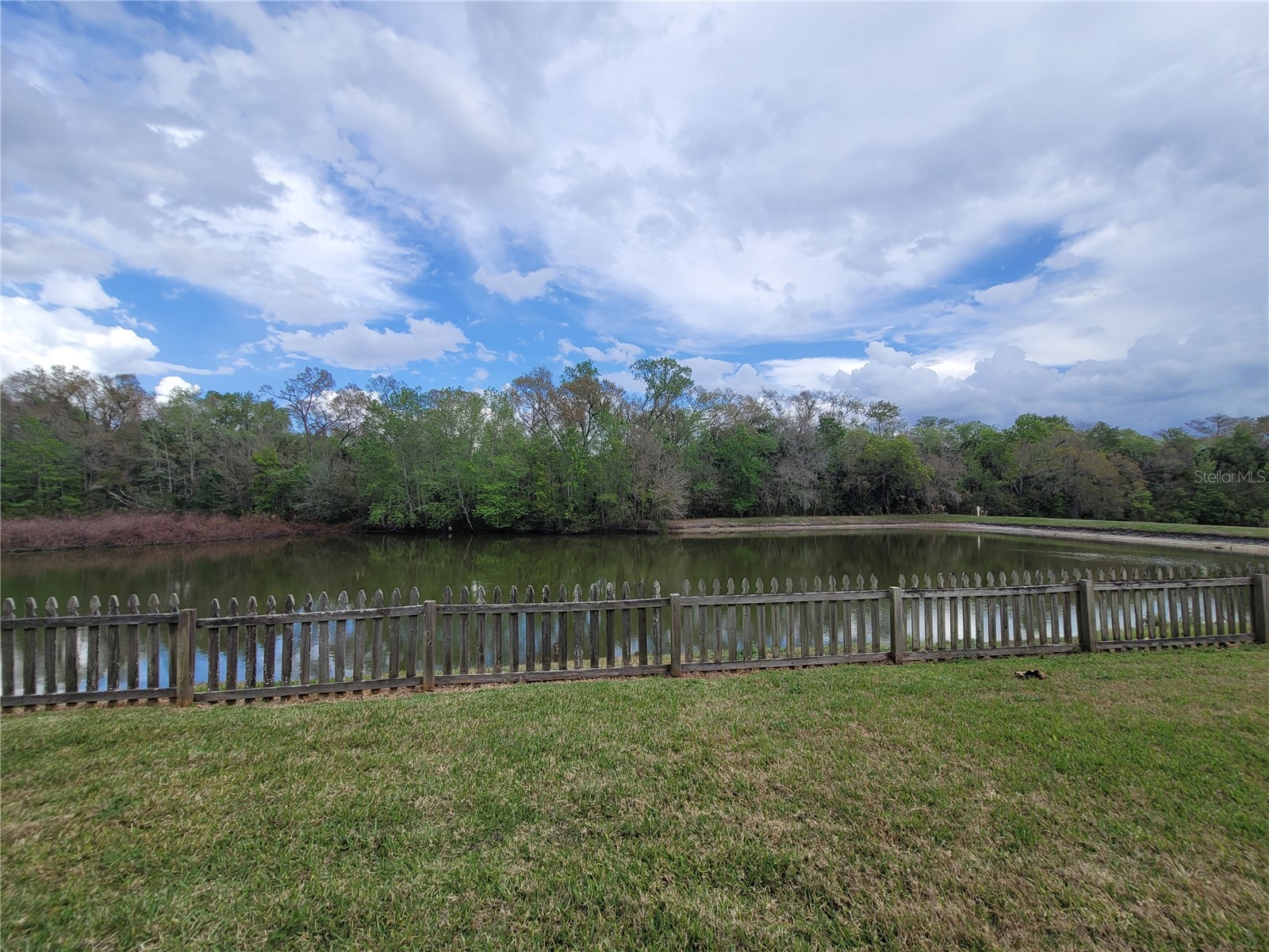 27640 Breakers Drive Wesley Chapel FL 33544 TB8485801 image2