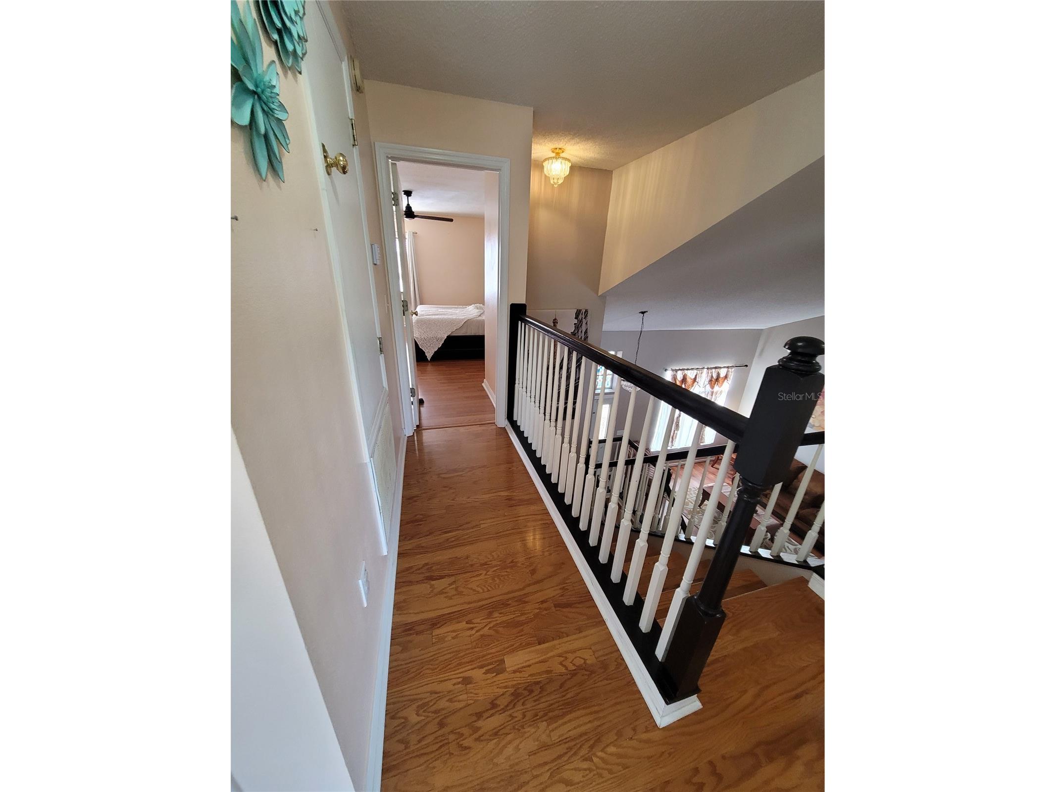 27640 Breakers Drive Wesley Chapel FL 33544 TB8485801 image29