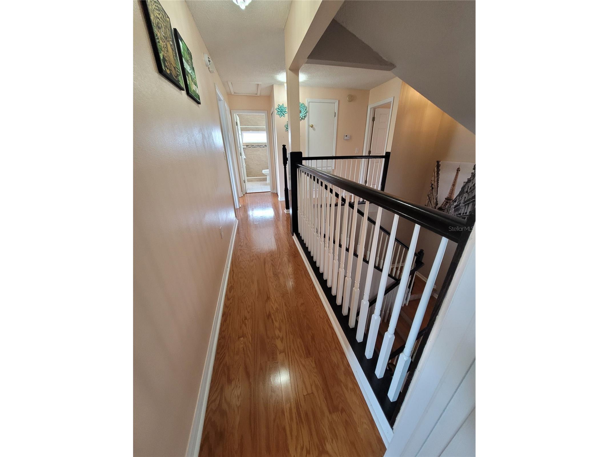 27640 Breakers Drive Wesley Chapel FL 33544 TB8485801 image32
