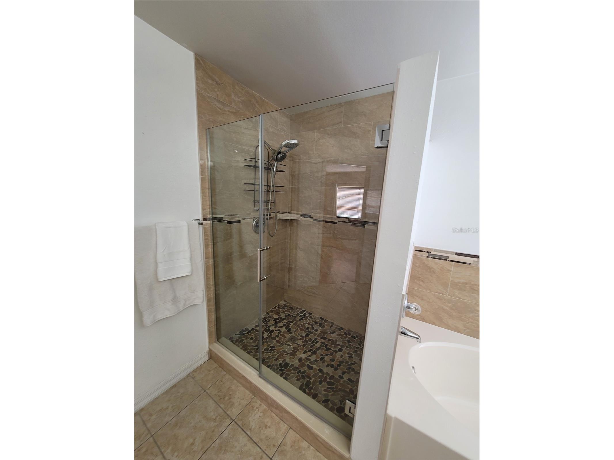 27640 Breakers Drive Wesley Chapel FL 33544 TB8485801 image39