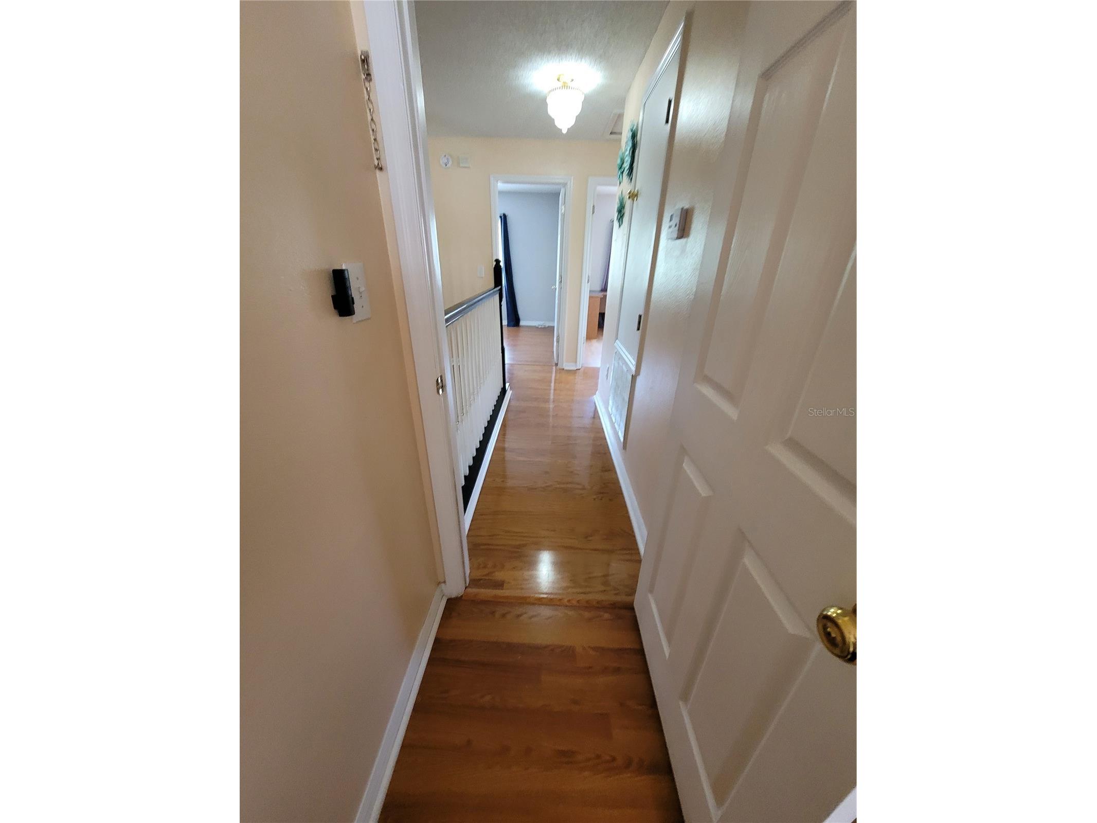 27640 Breakers Drive Wesley Chapel FL 33544 TB8485801 image42