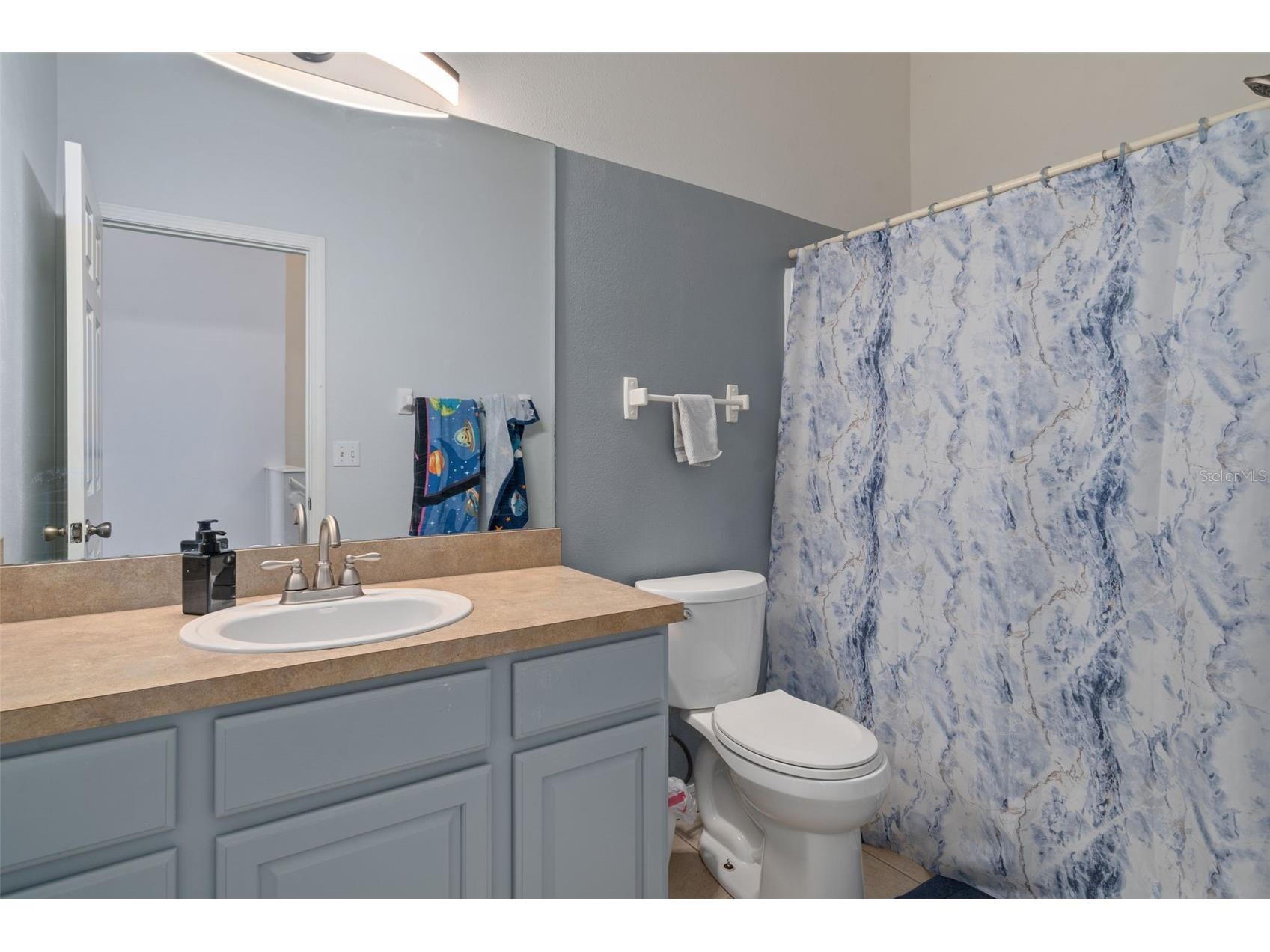 27642 Pleasure Ride Loop Wesley Chapel FL 33544 W7886922 image25