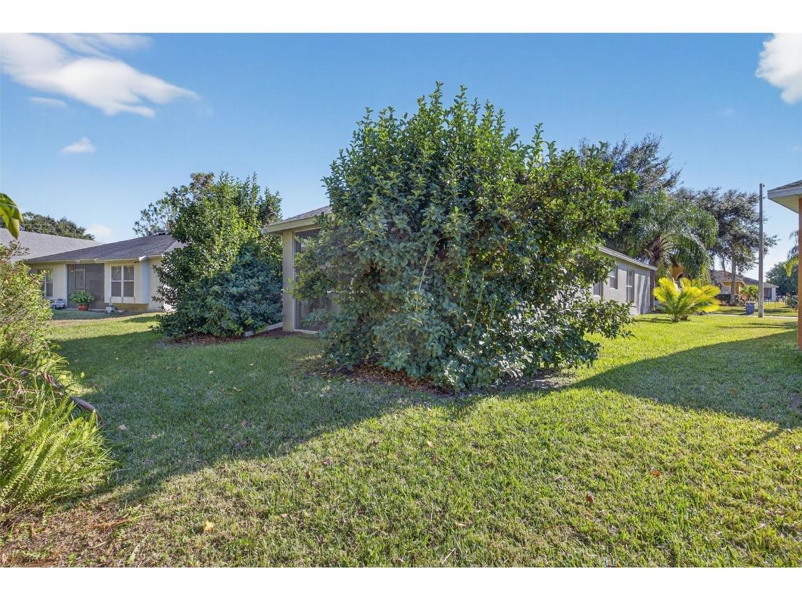 27644 Sugar Loaf Drive Wesley Chapel FL 33544 TB8455257 image29