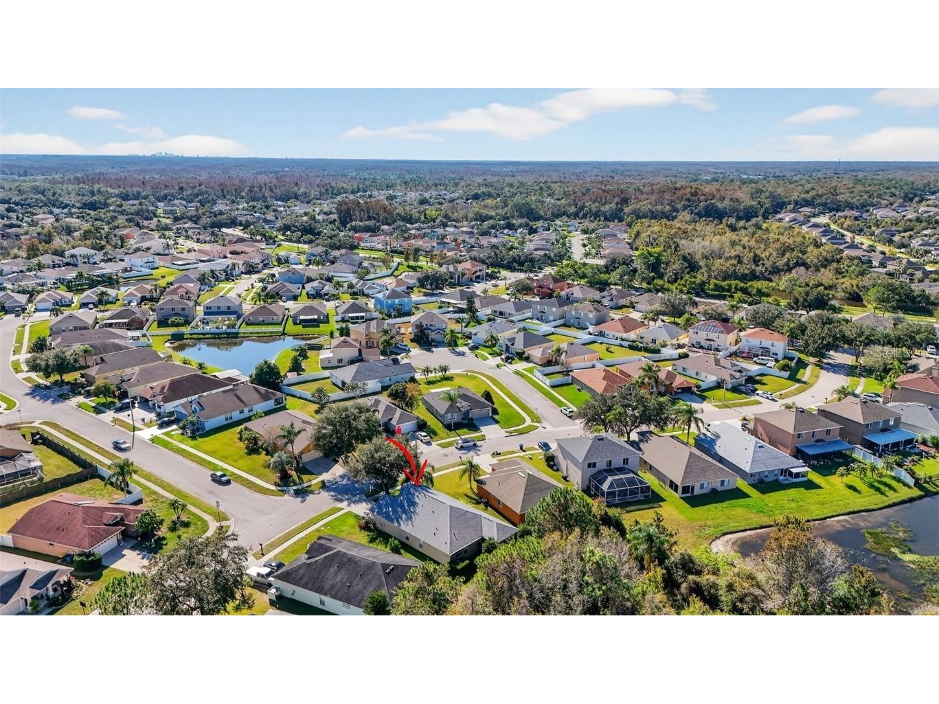 27644 Sugar Loaf Drive Wesley Chapel FL 33544 TB8455257 image33