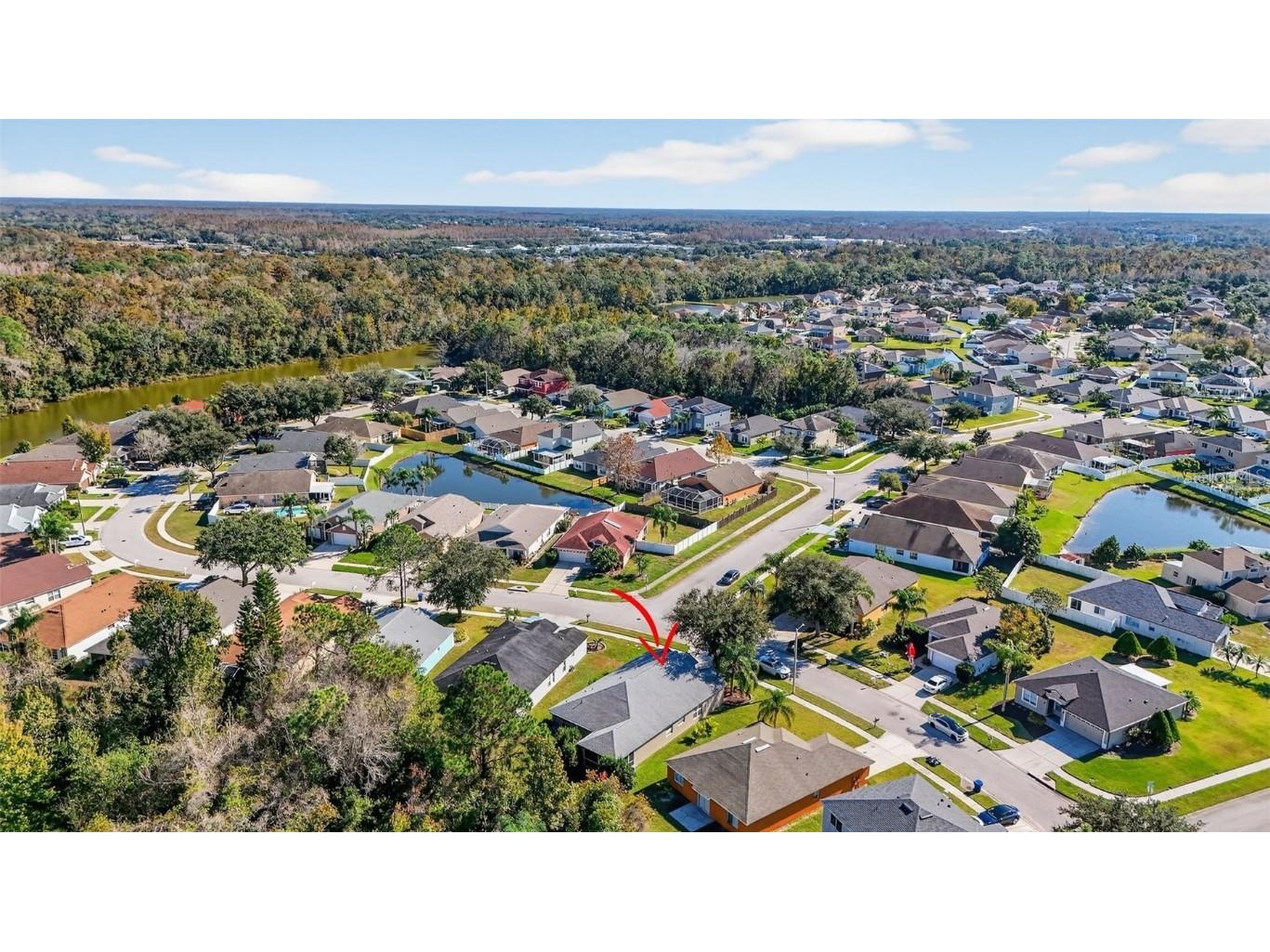 27644 Sugar Loaf Drive Wesley Chapel FL 33544 TB8455257 image34