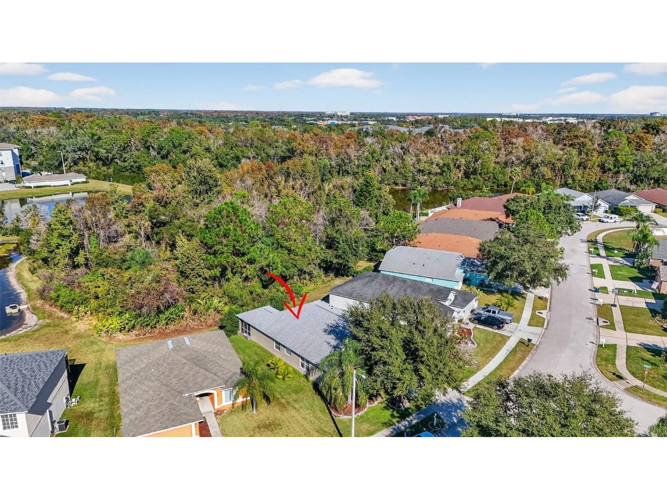 27644 Sugar Loaf Drive Wesley Chapel FL 33544 TB8455257 image36