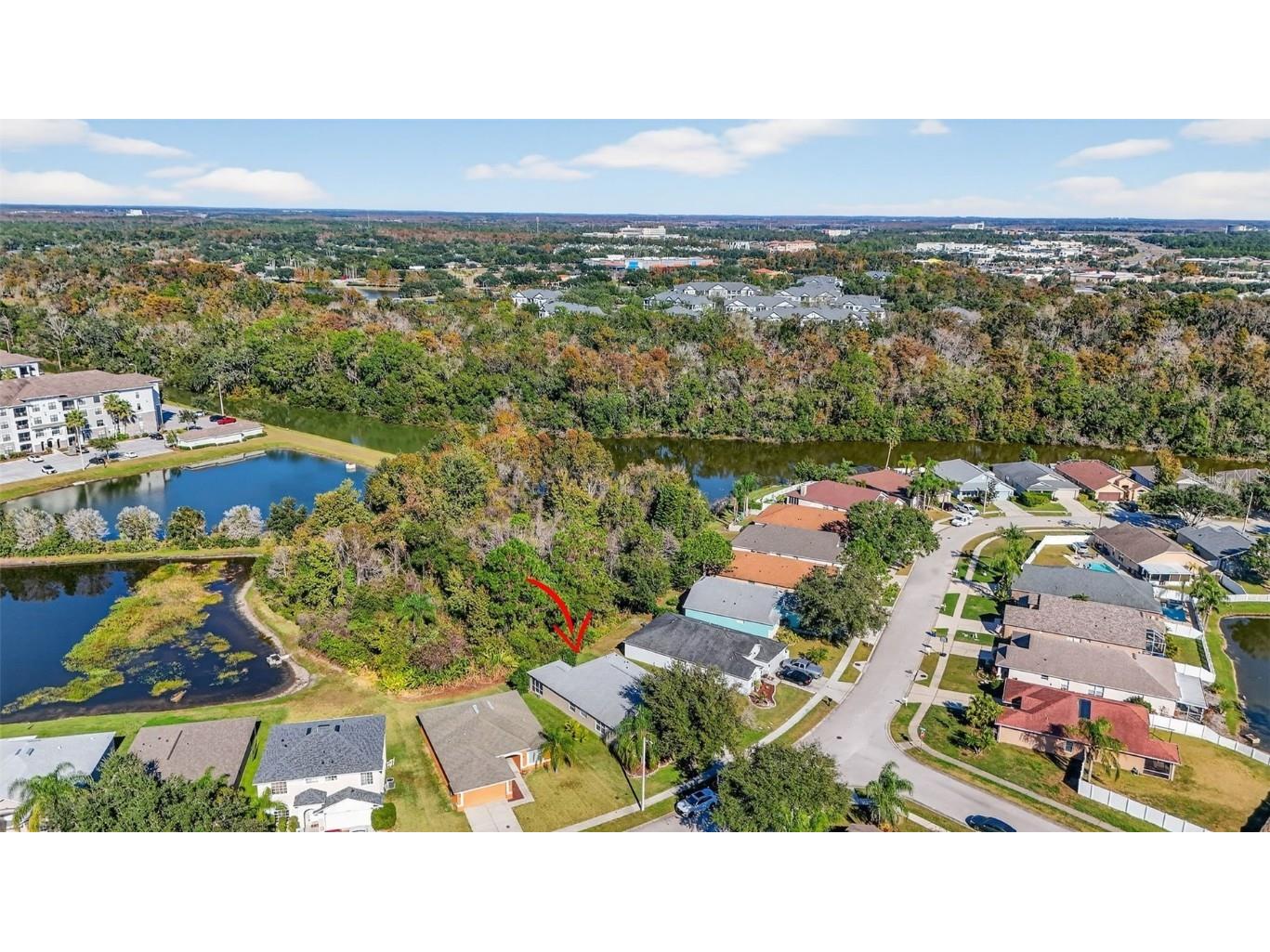 27644 Sugar Loaf Drive Wesley Chapel FL 33544 TB8455257 image37