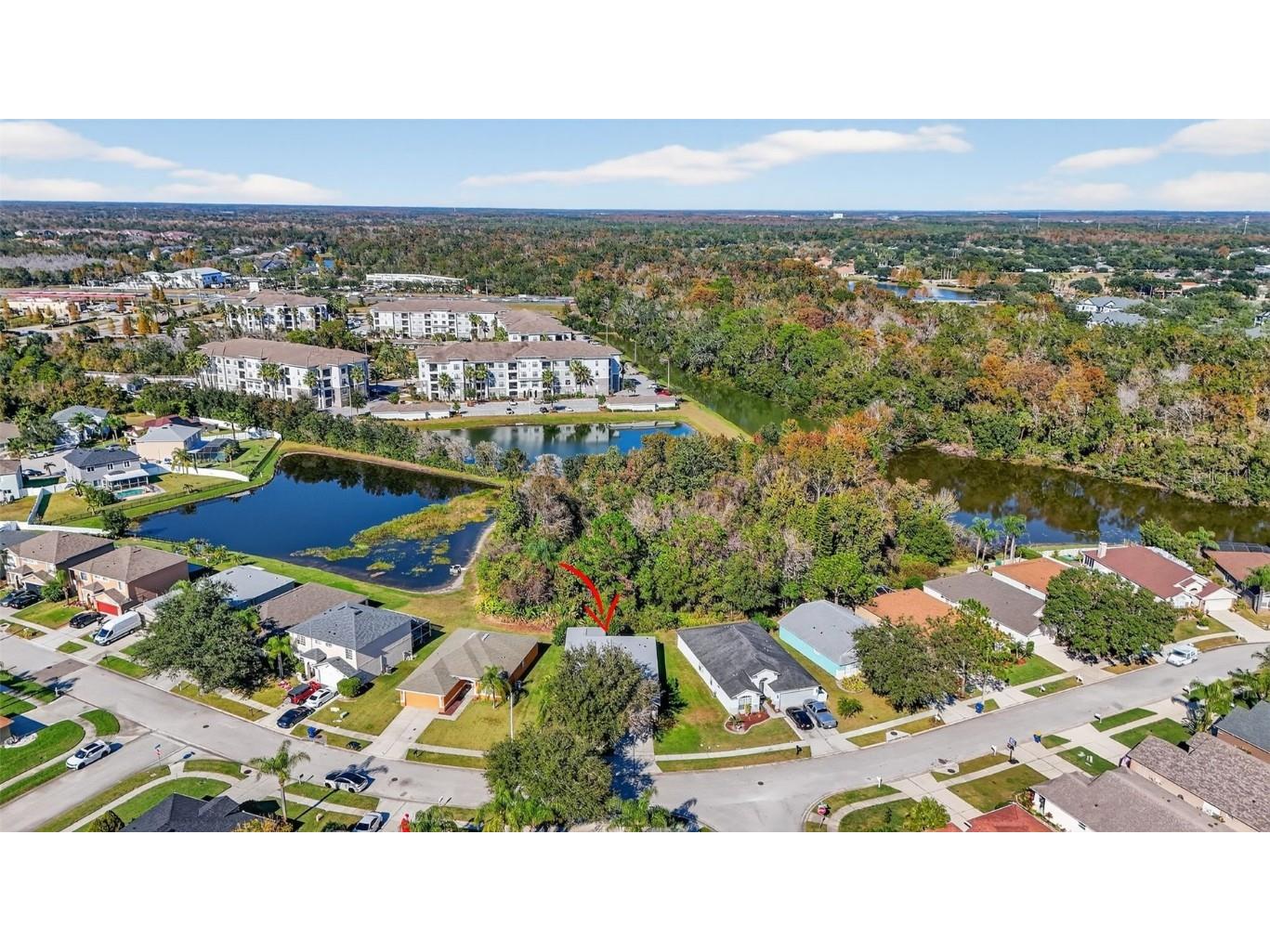 27644 Sugar Loaf Drive Wesley Chapel FL 33544 TB8455257 image38