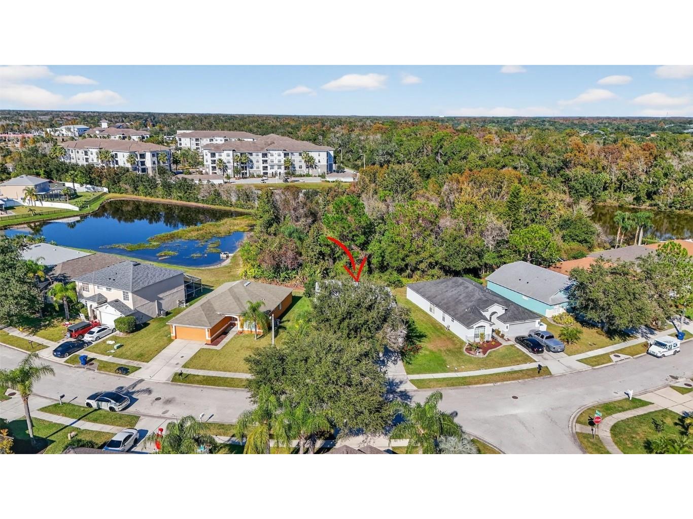 27644 Sugar Loaf Drive Wesley Chapel FL 33544 TB8455257 image39