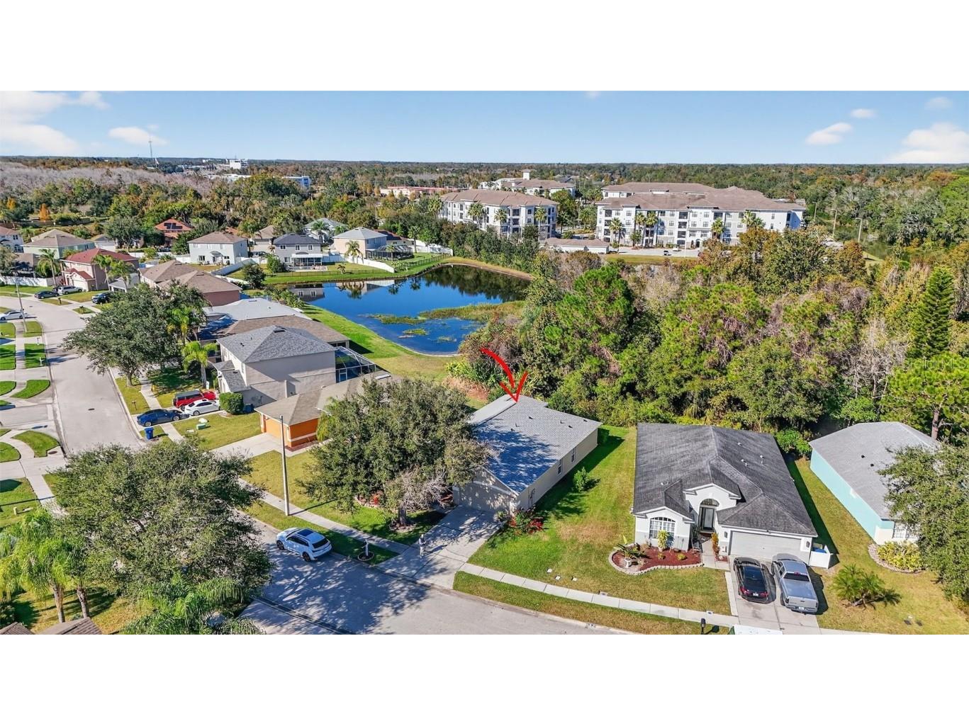 27644 Sugar Loaf Drive Wesley Chapel FL 33544 TB8455257 image40