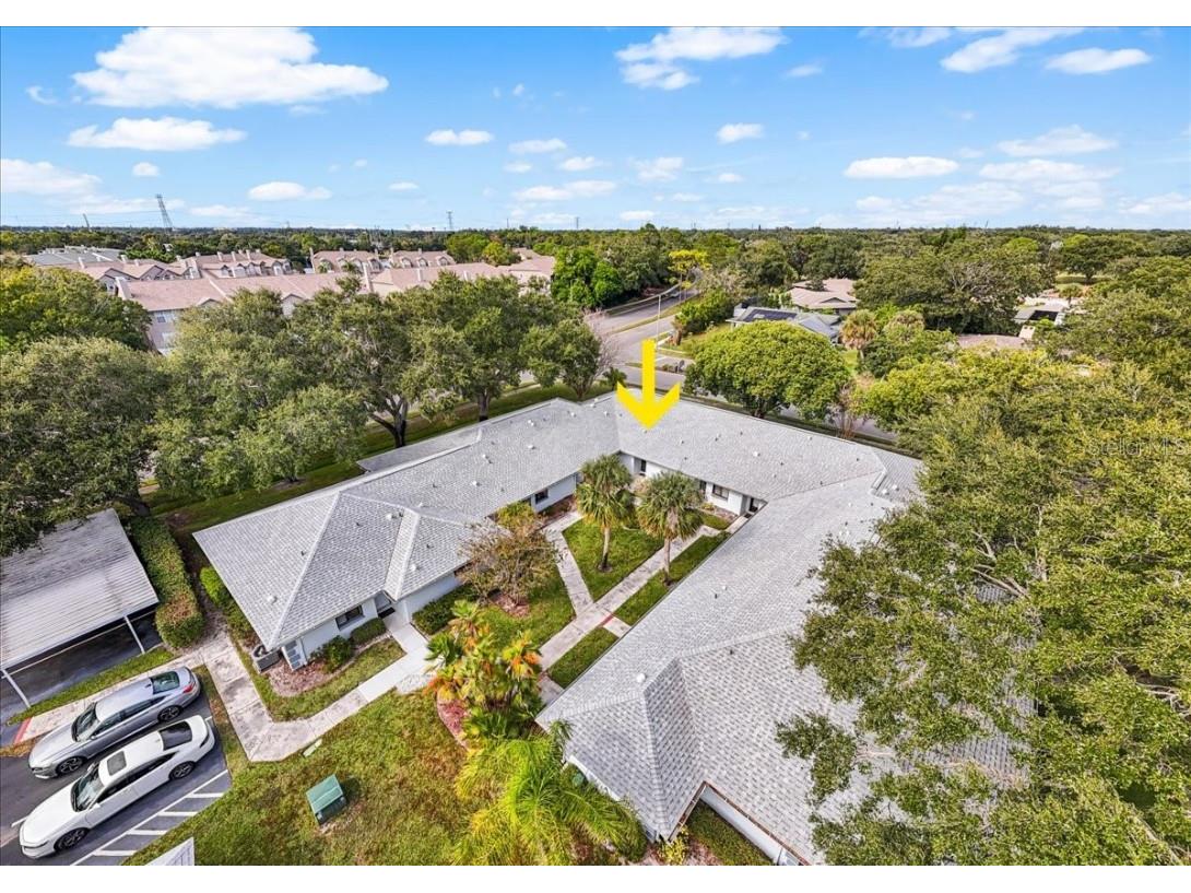 2765 Countryside Boulevard #104 Clearwater FL 33761 TB8446936 image34