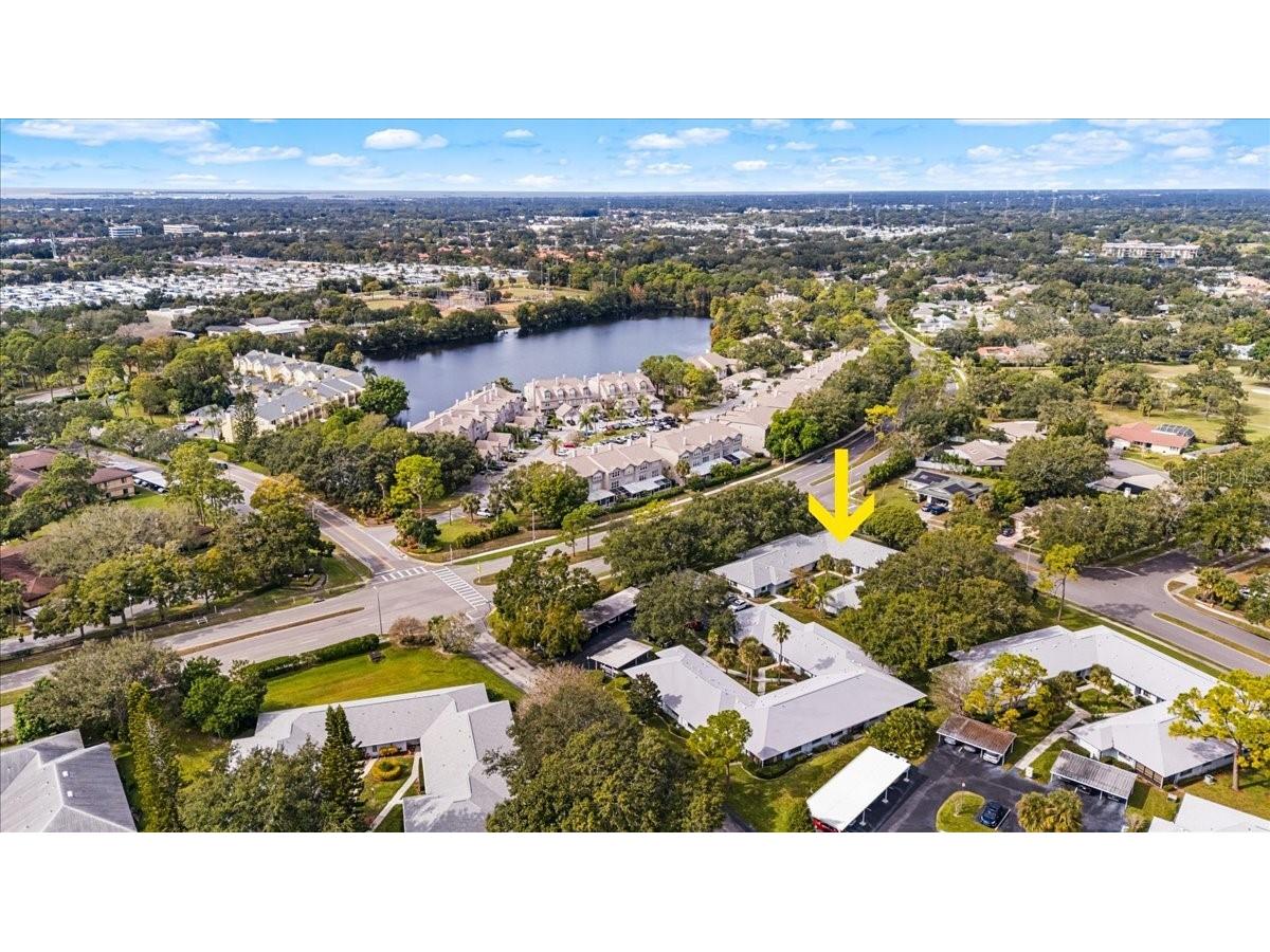 2765 Countryside Boulevard #104 Clearwater FL 33761 TB8446936 image35