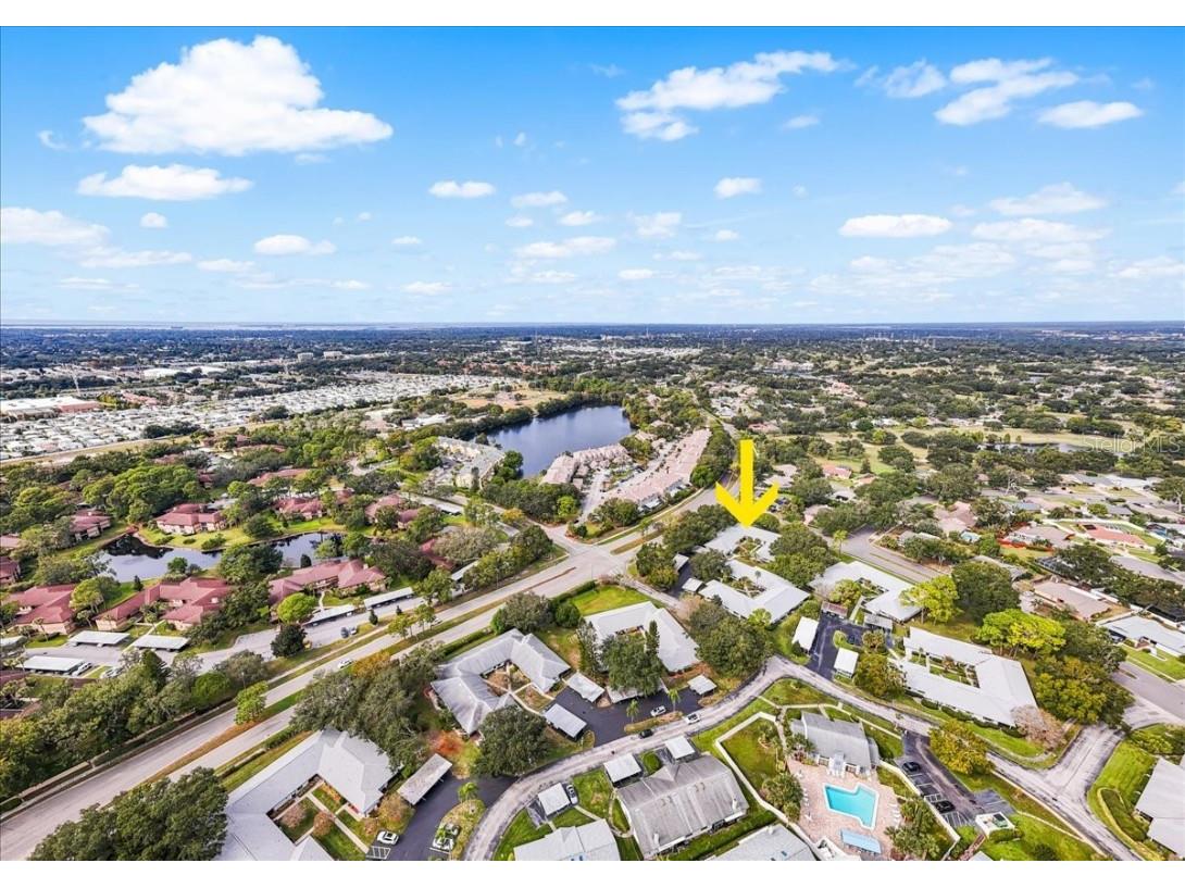 2765 Countryside Boulevard #104 Clearwater FL 33761 TB8446936 image36