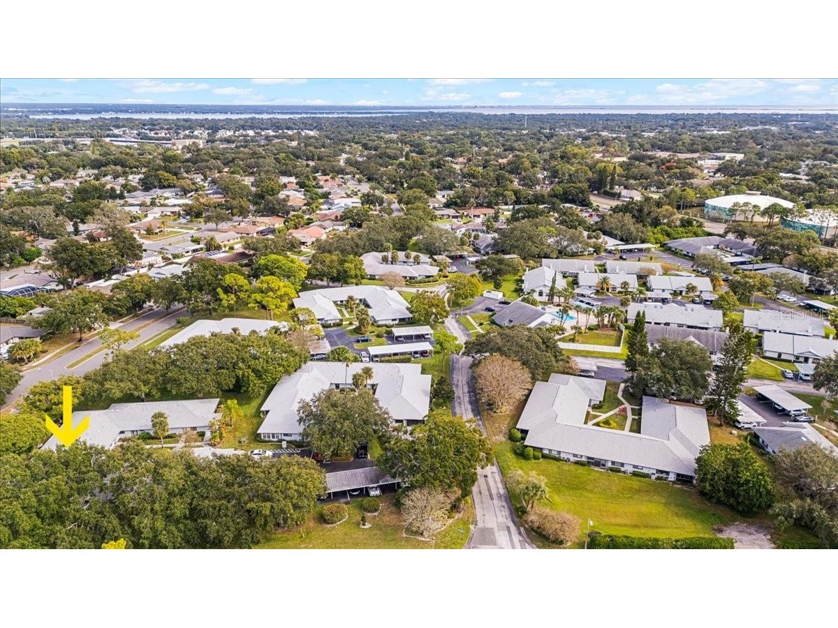 2765 Countryside Boulevard #104 Clearwater FL 33761 TB8446936 image38