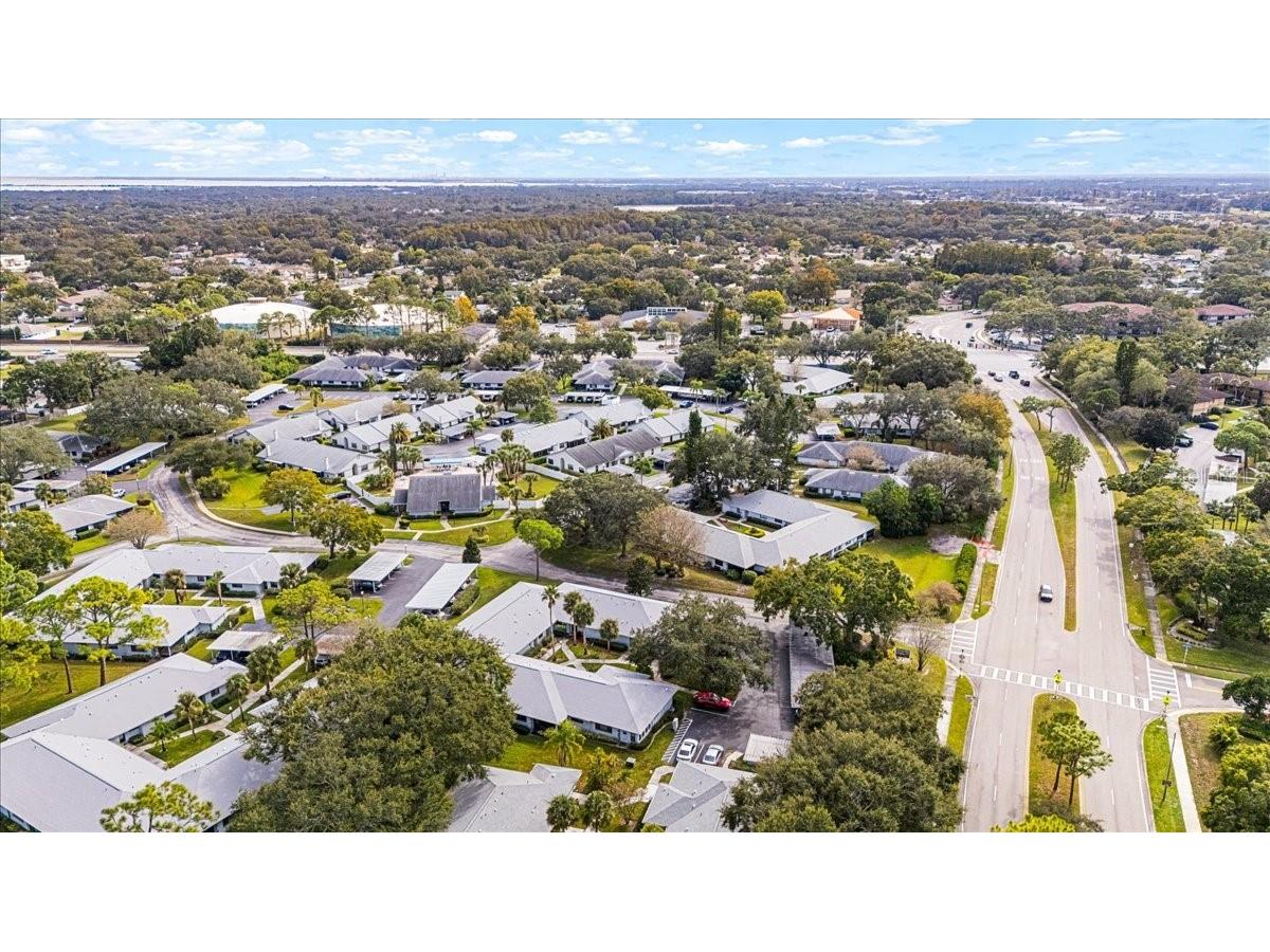 2765 Countryside Boulevard #104 Clearwater FL 33761 TB8446936 image39