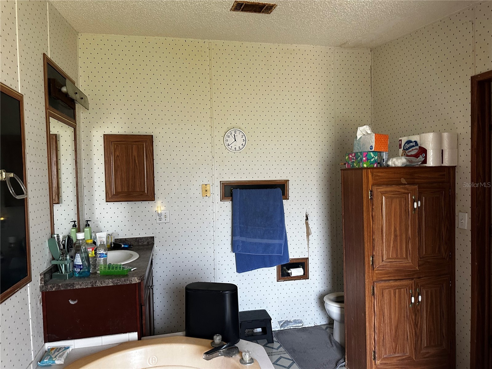 2765 Kerlew Drive Zolfo Springs FL 33890 A4691492 image11
