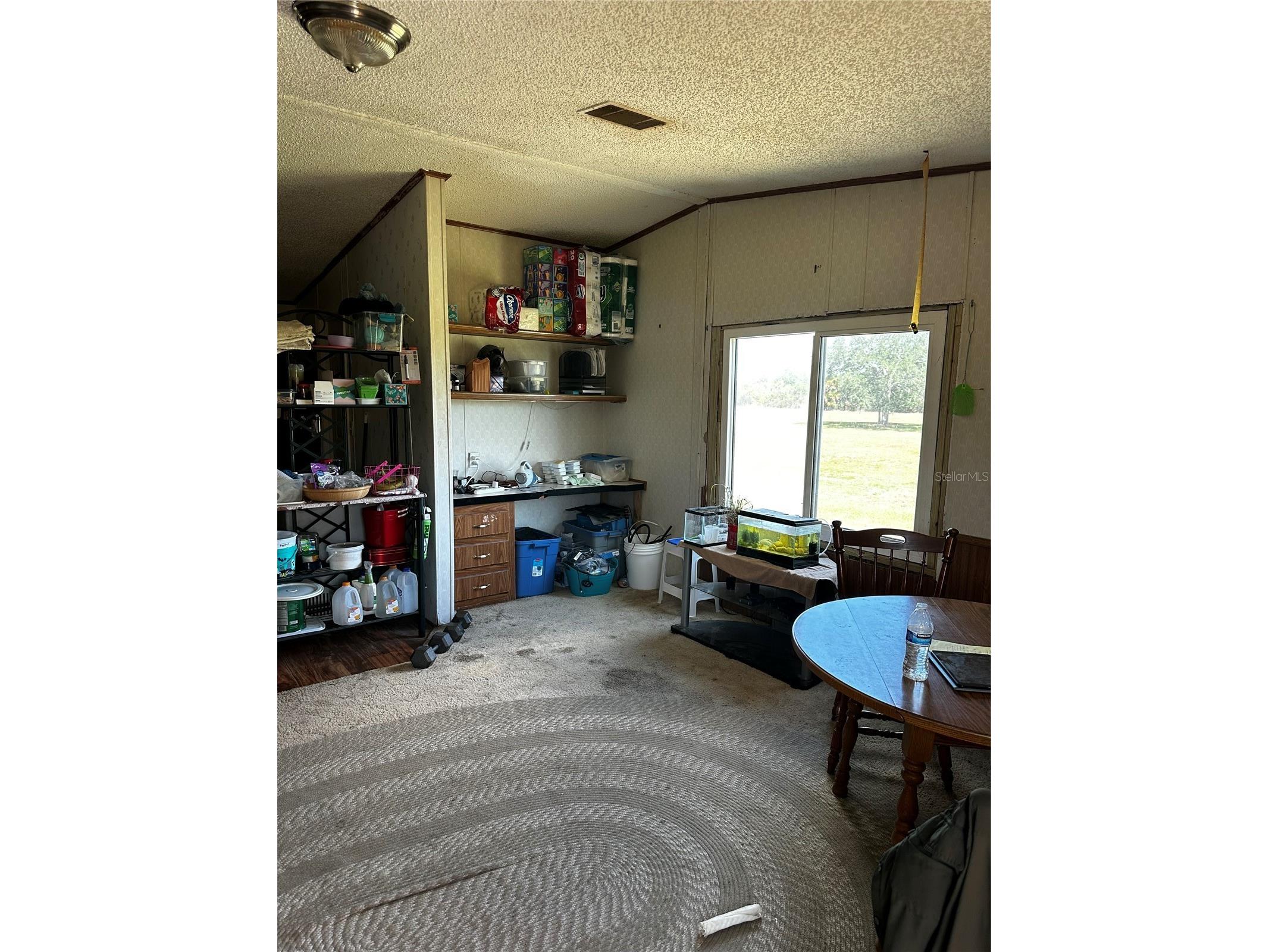 2765 Kerlew Drive Zolfo Springs FL 33890 A4691492 image13