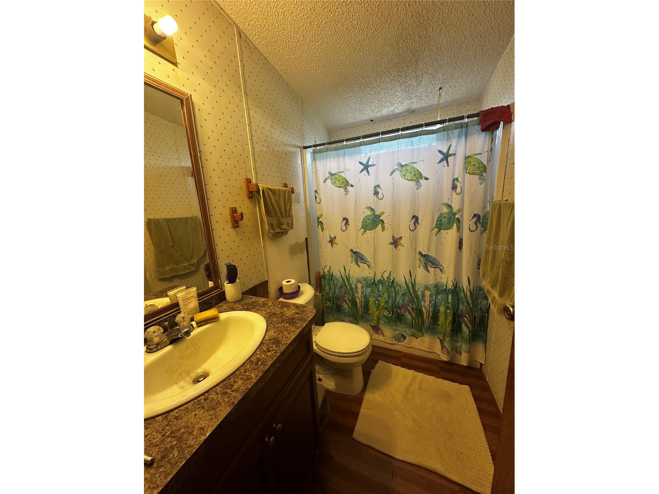 2765 Kerlew Drive Zolfo Springs FL 33890 A4691492 image15