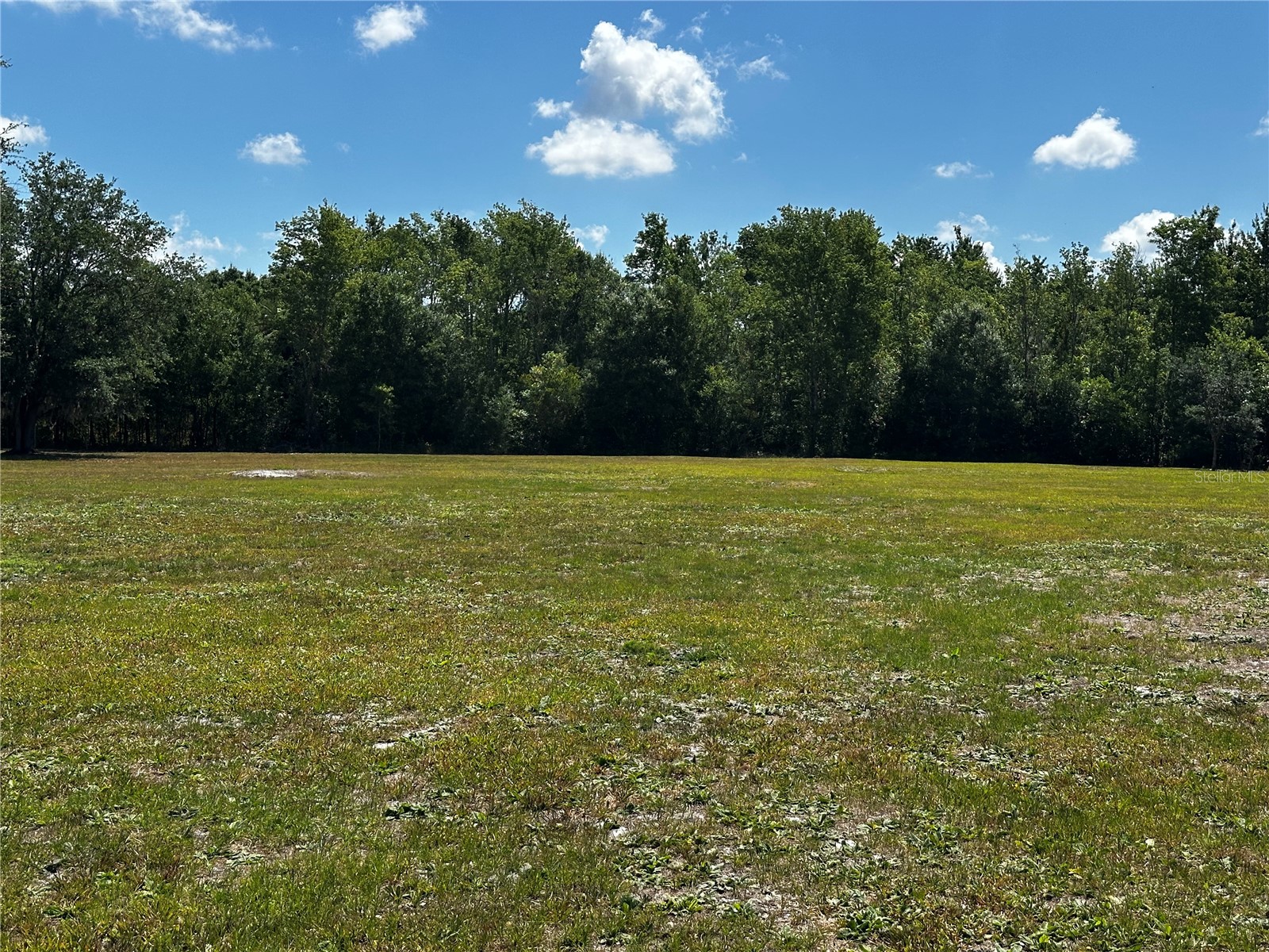 2765 Kerlew Drive Zolfo Springs FL 33890 A4691492 image22