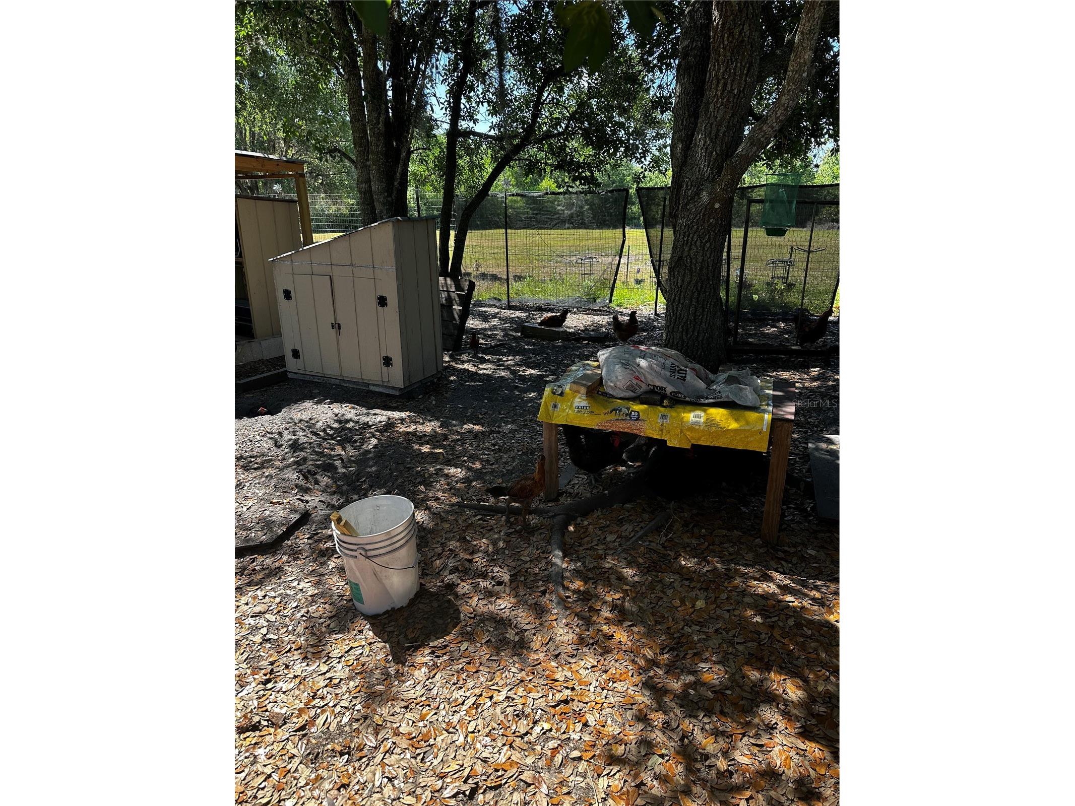 2765 Kerlew Drive Zolfo Springs FL 33890 A4691492 image37