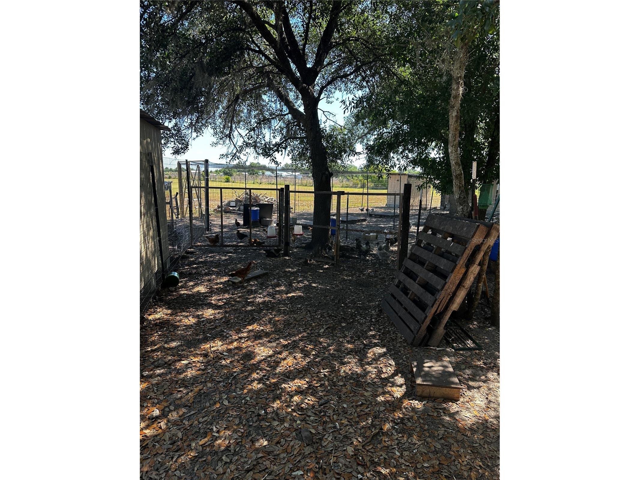 2765 Kerlew Drive Zolfo Springs FL 33890 A4691492 image38