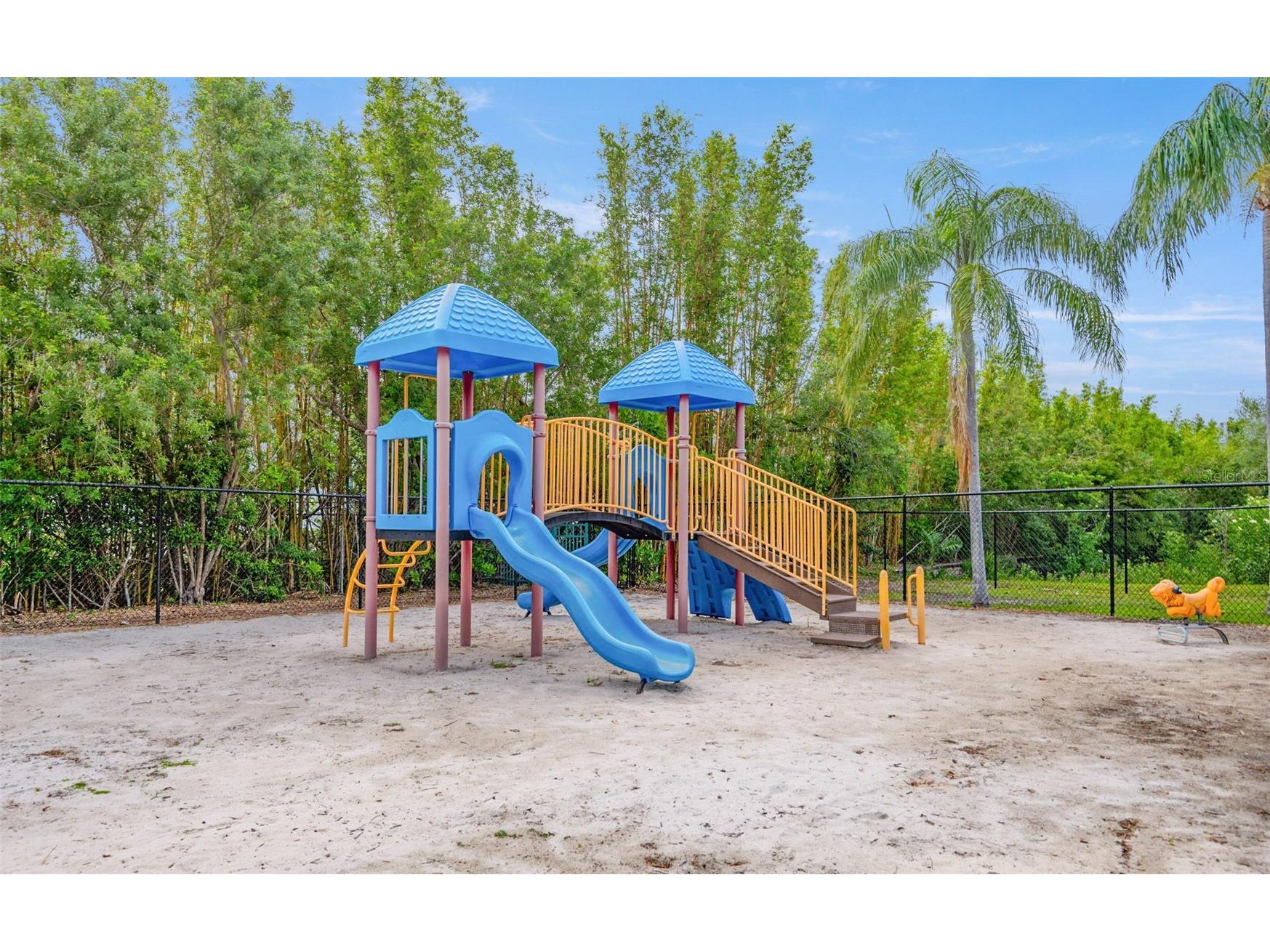 2765 Via Cipriani #1232A Clearwater FL 33764 TB8489428 image37