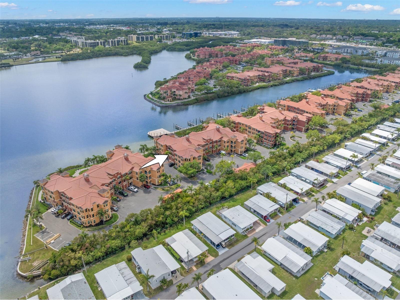 2765 Via Cipriani #1232A Clearwater FL 33764 TB8489428 image41