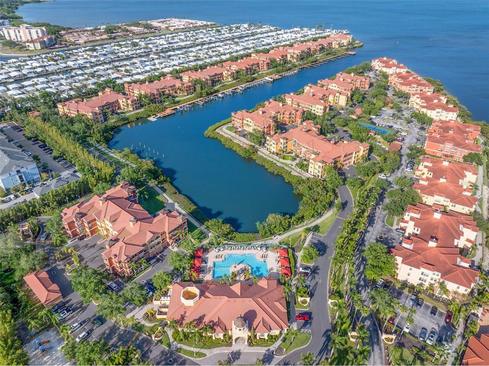 2765 Via Cipriani #1232A Clearwater FL 33764 TB8489428 image42